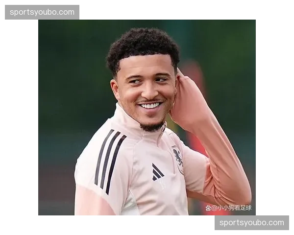 维拉桑乔进入伤病名单 具体伤情尚未详细说明